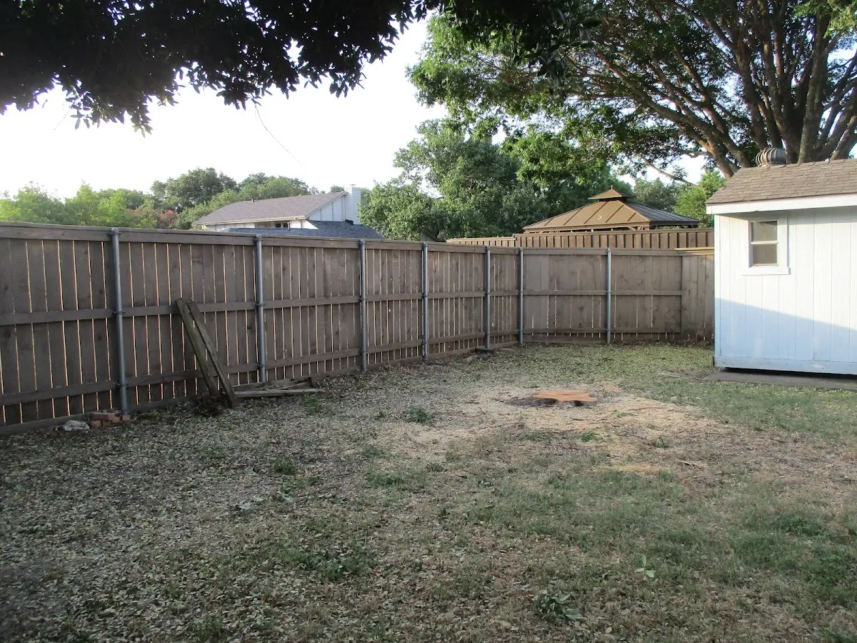 Cleared yard after professional tree removal in Cawker City