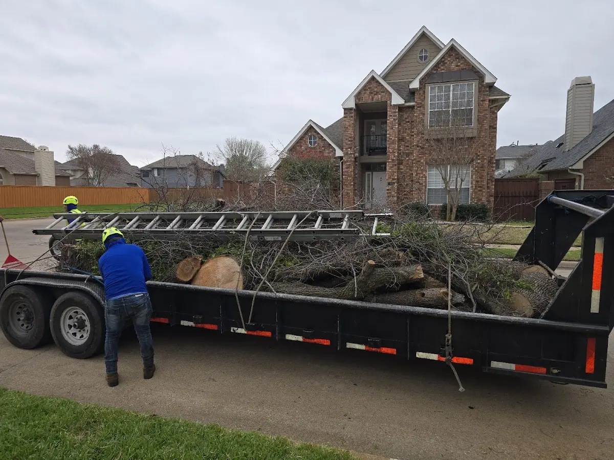 Expert Tree Removal with proper safety equipment in Cawker City